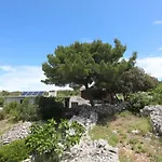 Sans Souci *